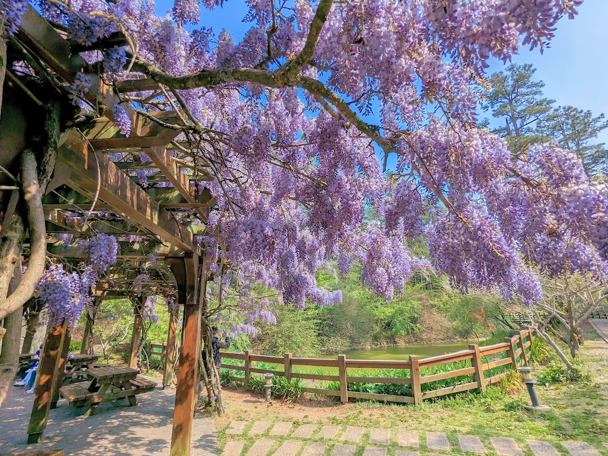 鴛鴦湖步道