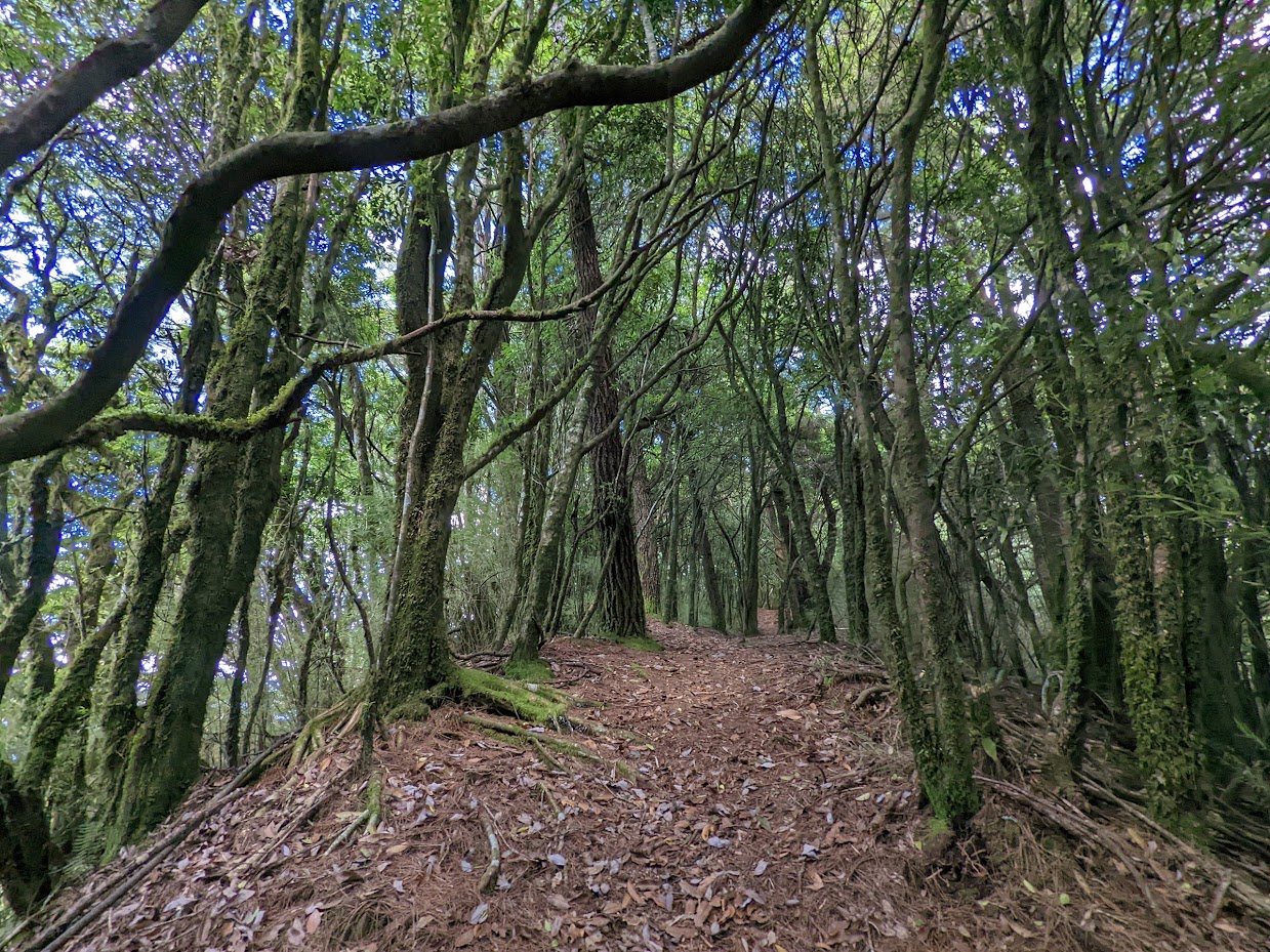 更猛山步道